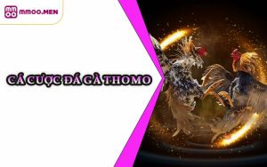 Cá Cược Đá Gà Thomo