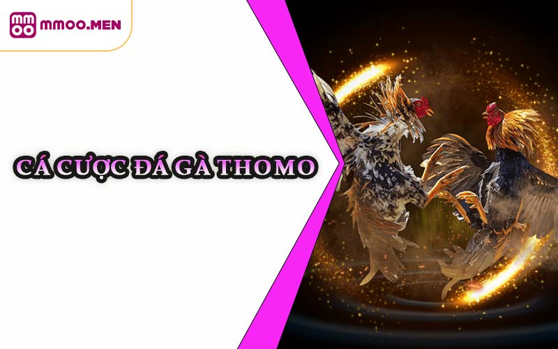 Cá Cược Đá Gà Thomo