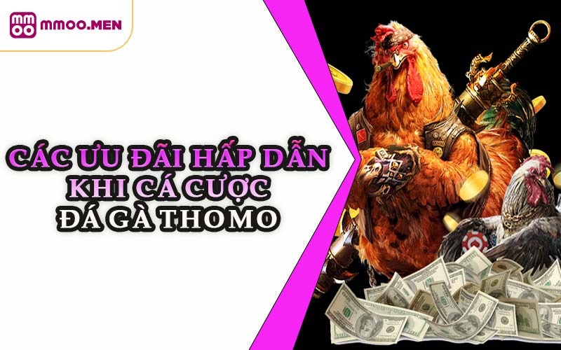 Các Ưu Đãi Hấp Dẫn Khi Cá Cược Đá Gà Thomo
