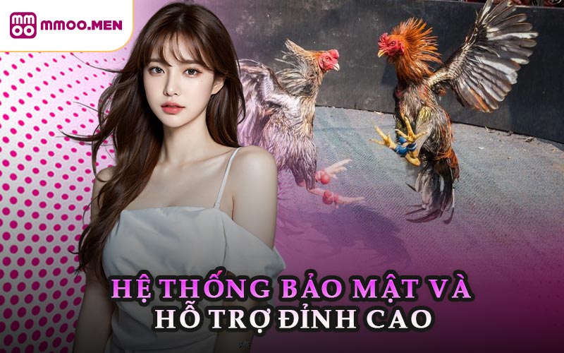 Hệ Thống Bảo Mật Và Hỗ Trợ Đỉnh Cao