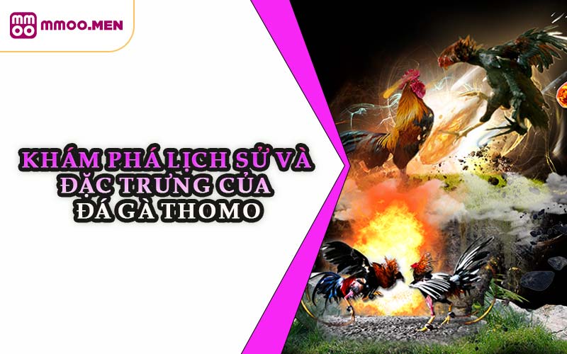 Khám Phá Lịch Sử Và Đặc Trưng Của Đá Gà Thomo